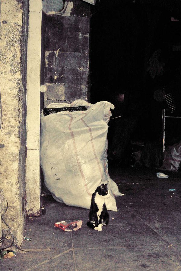 Streetfotografie in Istanbul